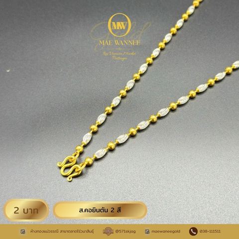 ส.คอยินตัน 2 สี